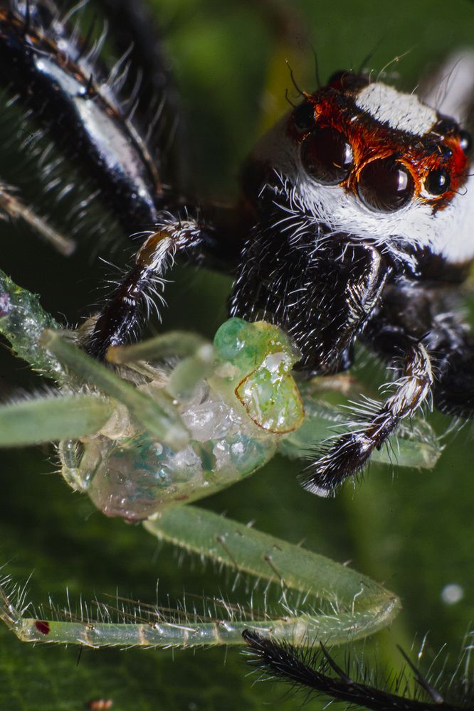 Фотография автора Sasindu Pramuditha