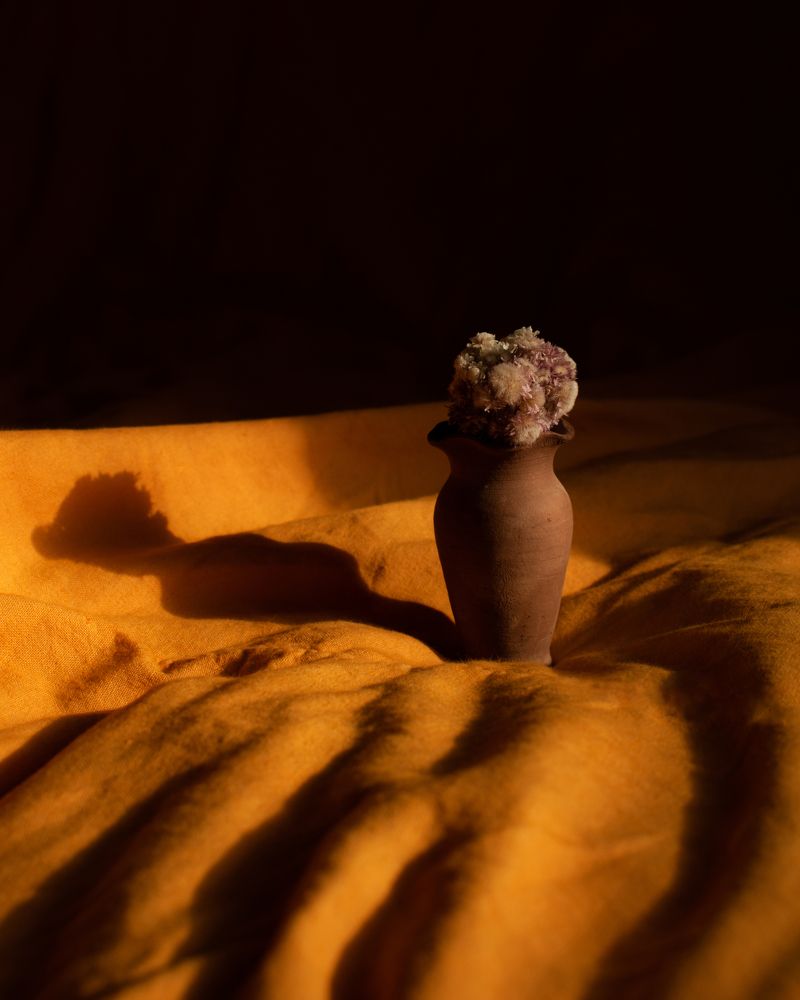 Photograph by Носкович Татьяна