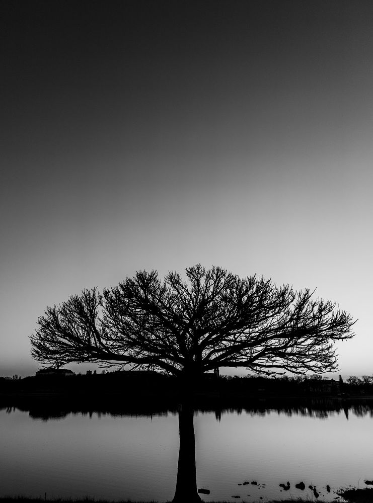 Photograph by zsolt lafferton