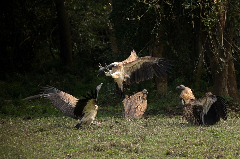 Photograph by  Sutapa Deb