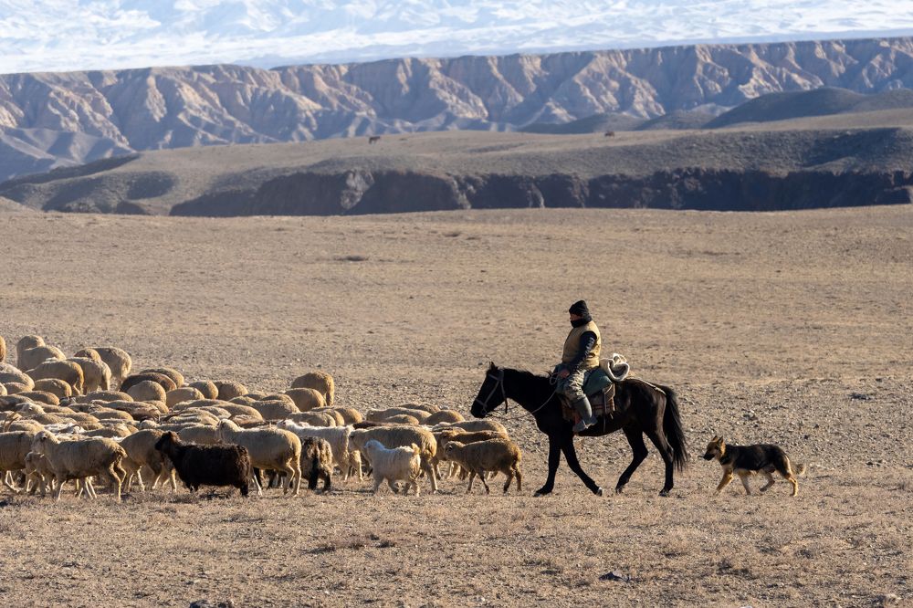 Photograph by Андрей Румянцев