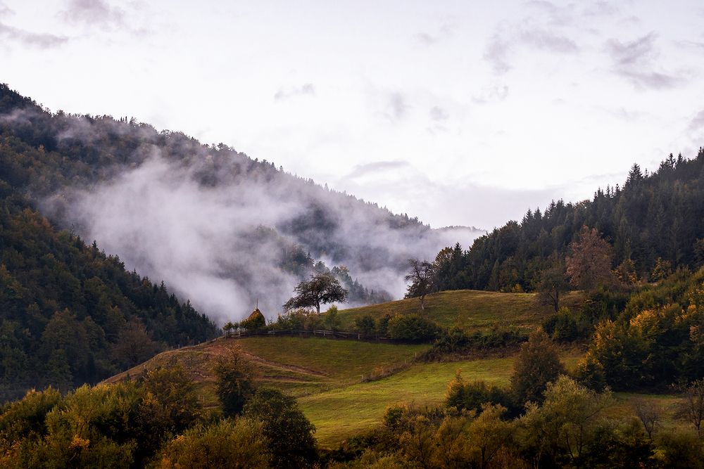 Photograph by Inga Cvijanovic