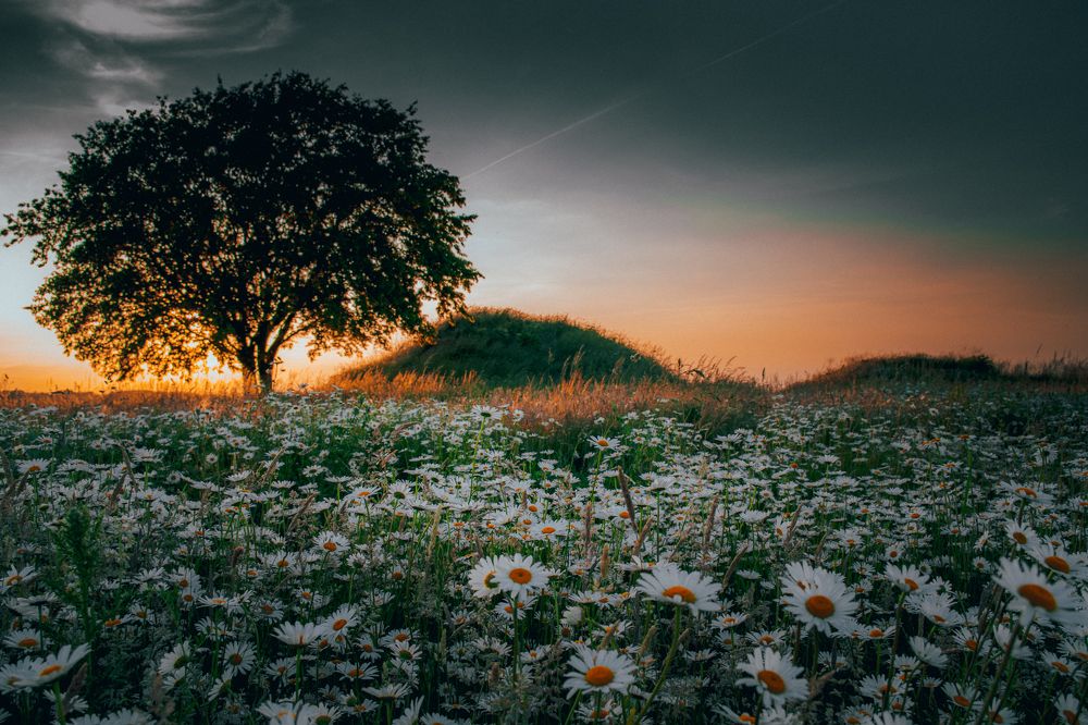 Photograph by Juri Nezwyski