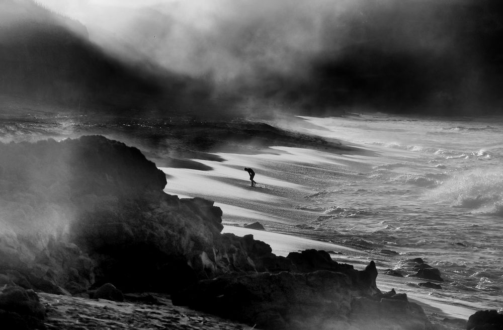 alone among emotions