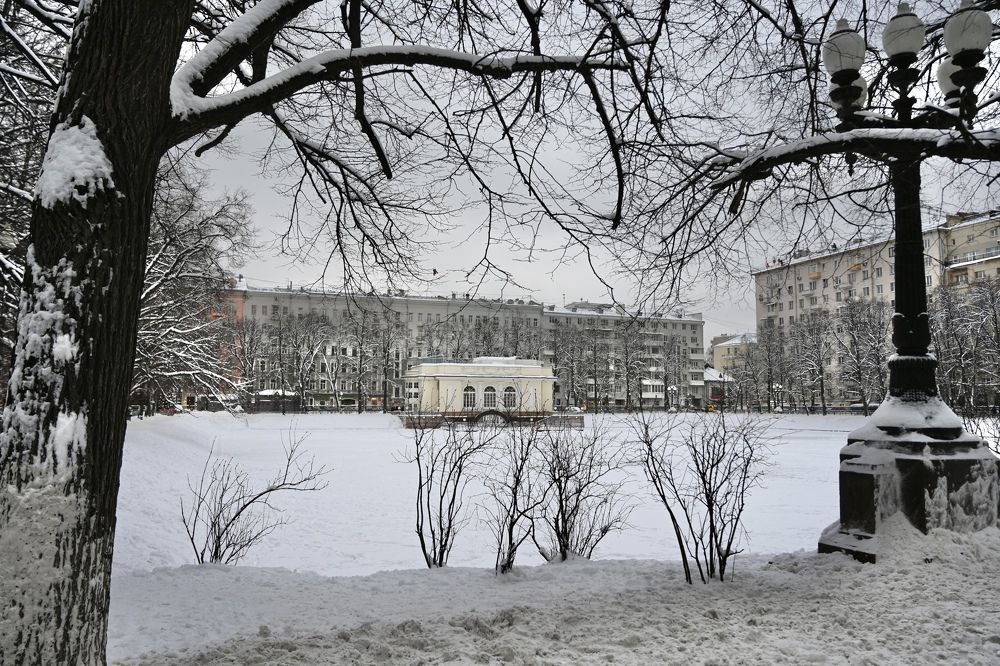 Photograph by Olga Brilevskaya