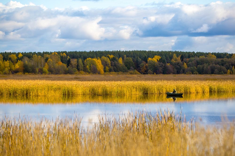 Photograph by Елена Иванова