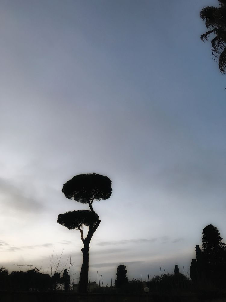 Photograph by Татьяна Богданова