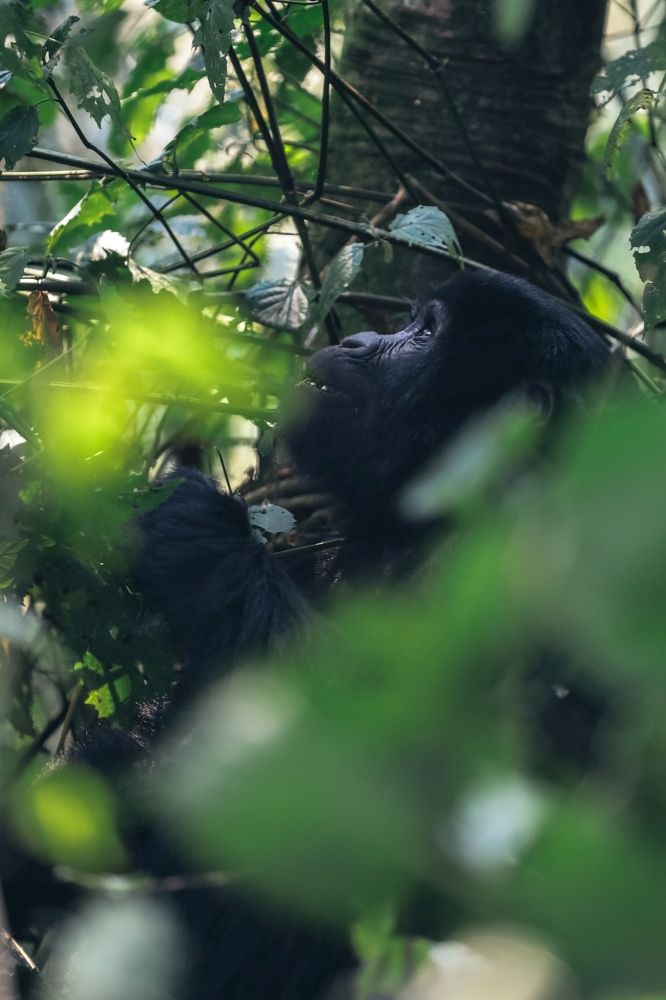 Photograph by Justyna Dziegiec