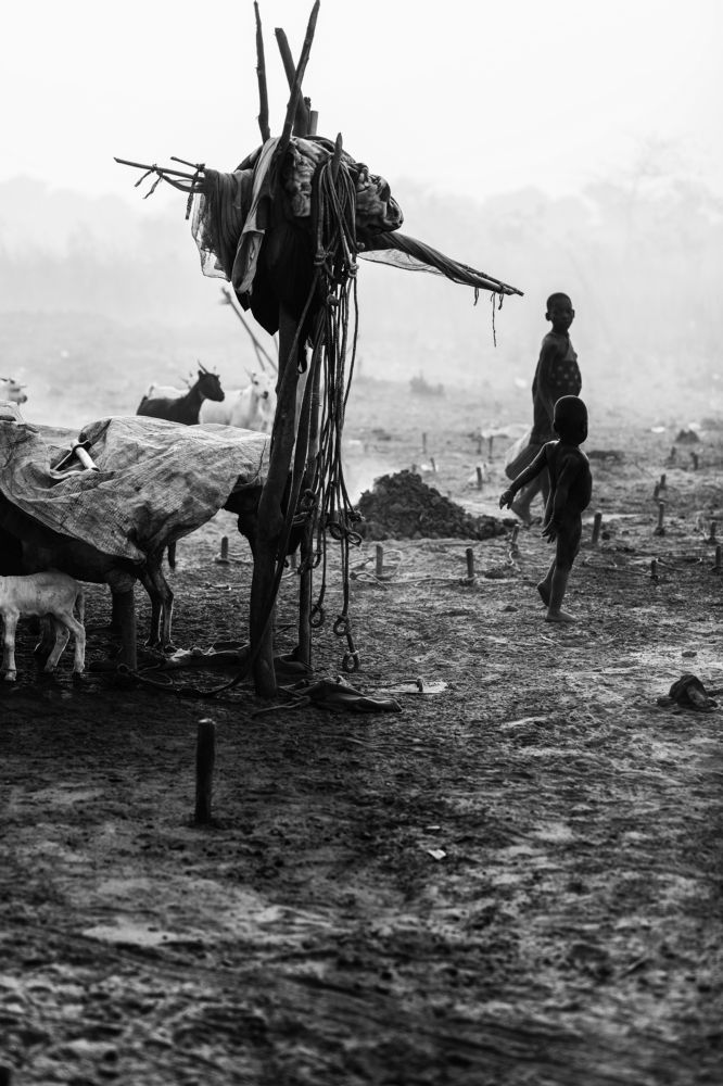 Photograph by Justyna Dziegiec