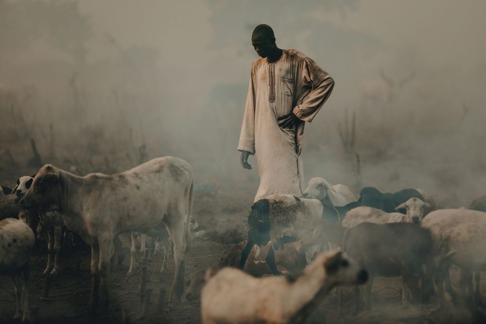 Photograph by Justyna Dziegiec