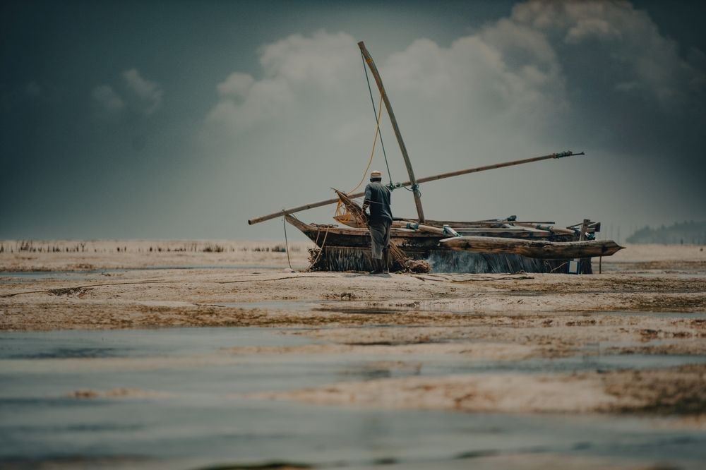 Photograph by Justyna Dziegiec