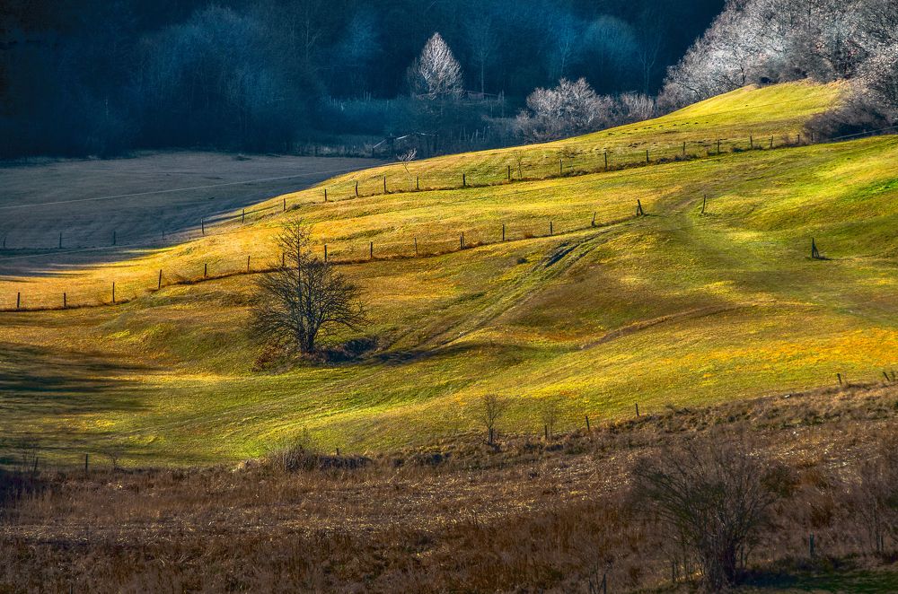 Photograph by Dragan Cerovic