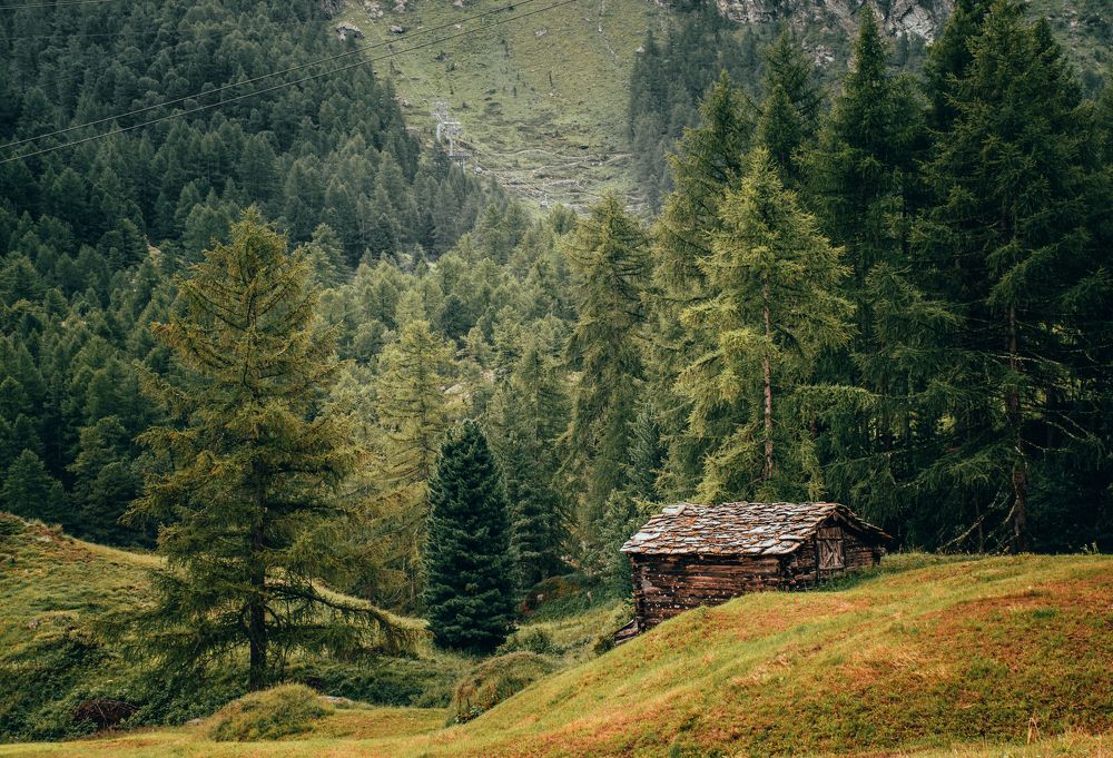 Photograph by Juri Nezwyski
