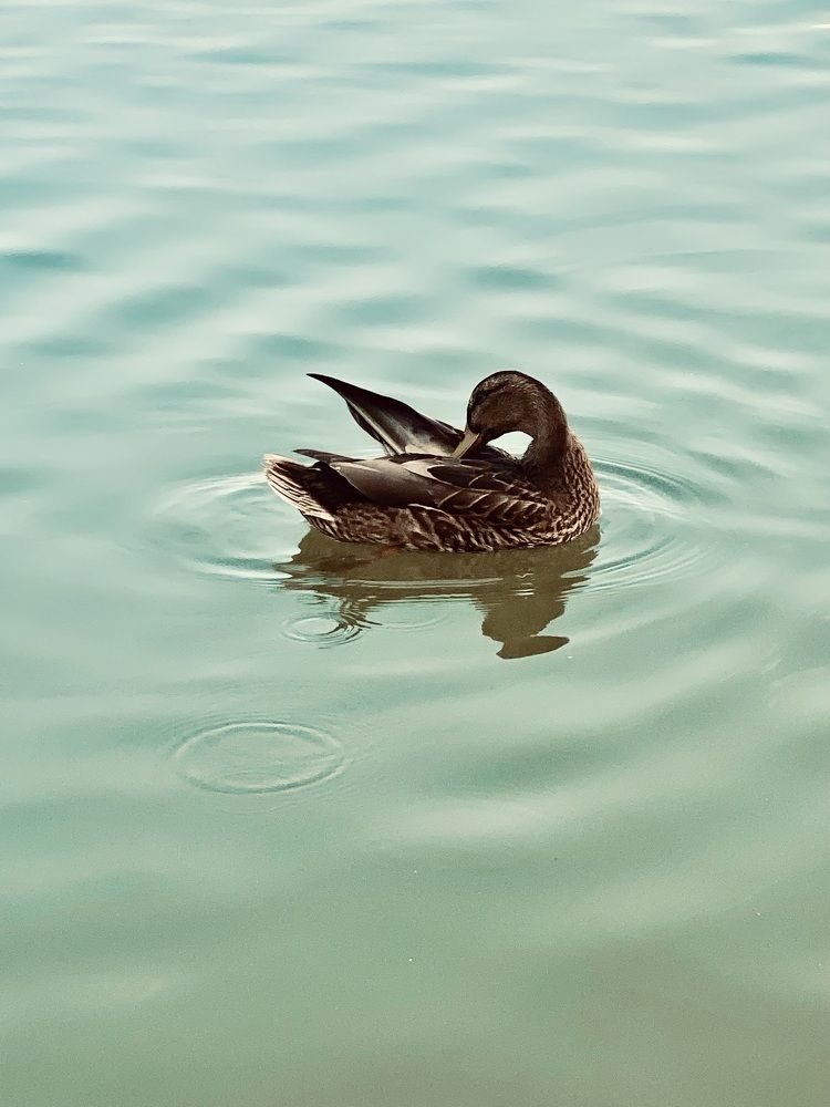 Photograph by Alena Kochergina