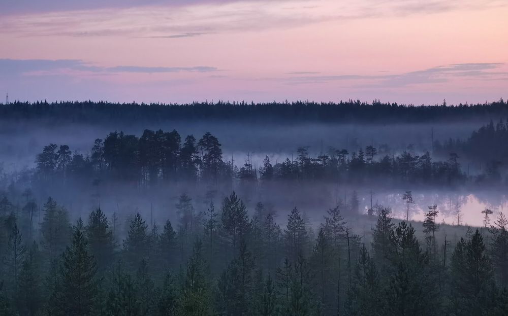 Photograph by Дарья