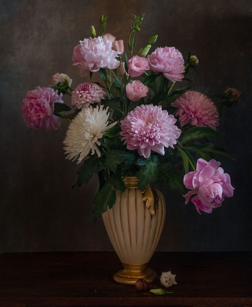 Фотография автора Алина Ланкина