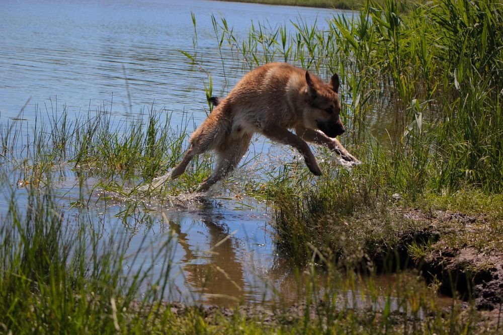 Фотография автора Анатолий Борисов