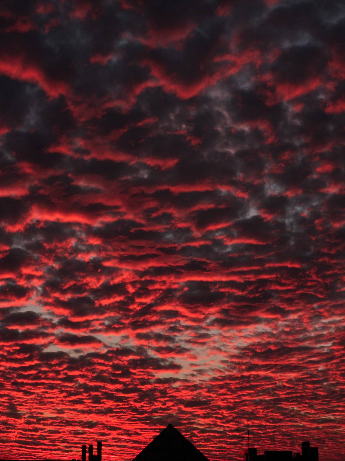 Photo #7296786