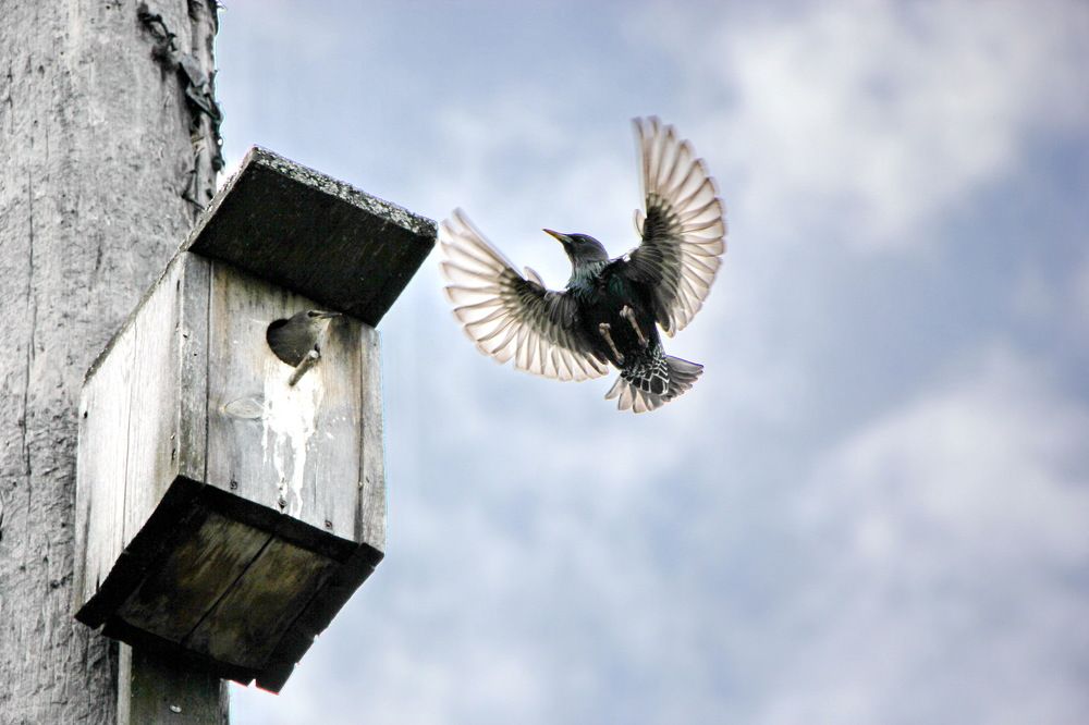 Фотография автора Анатолий Борисов