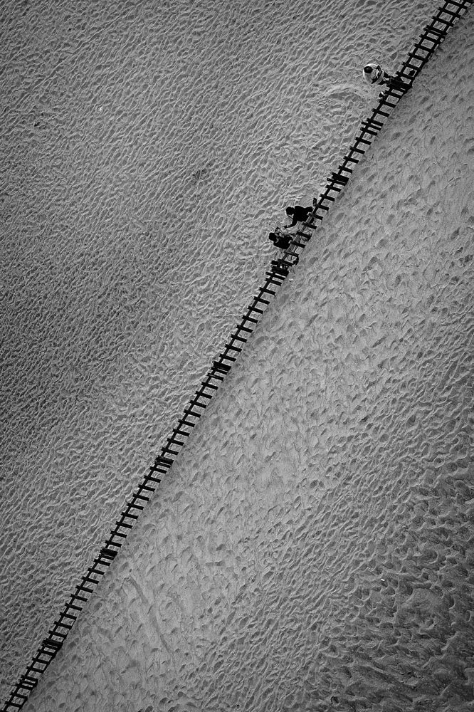 Both sides of the fence.