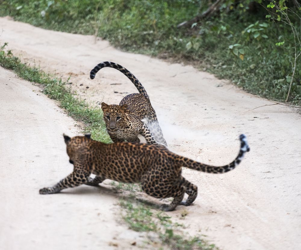 Photograph by Irina Grigoryeva
