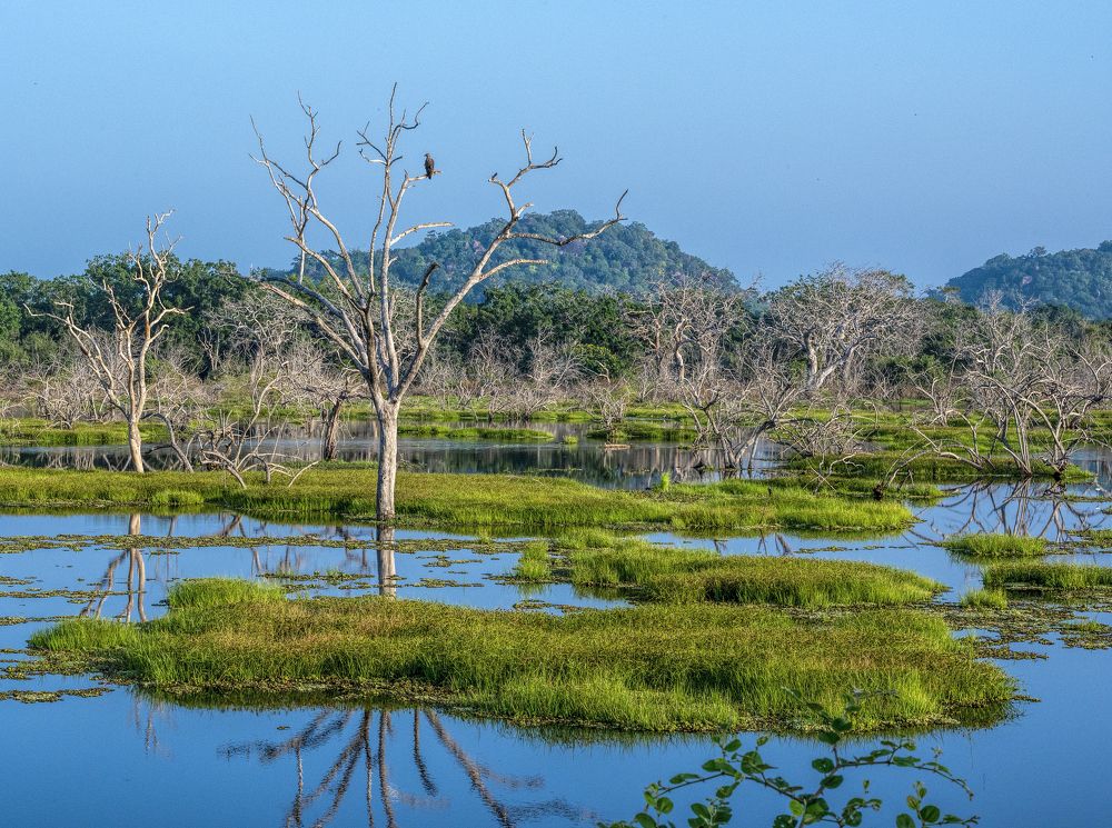 Photograph by Irina Grigoryeva