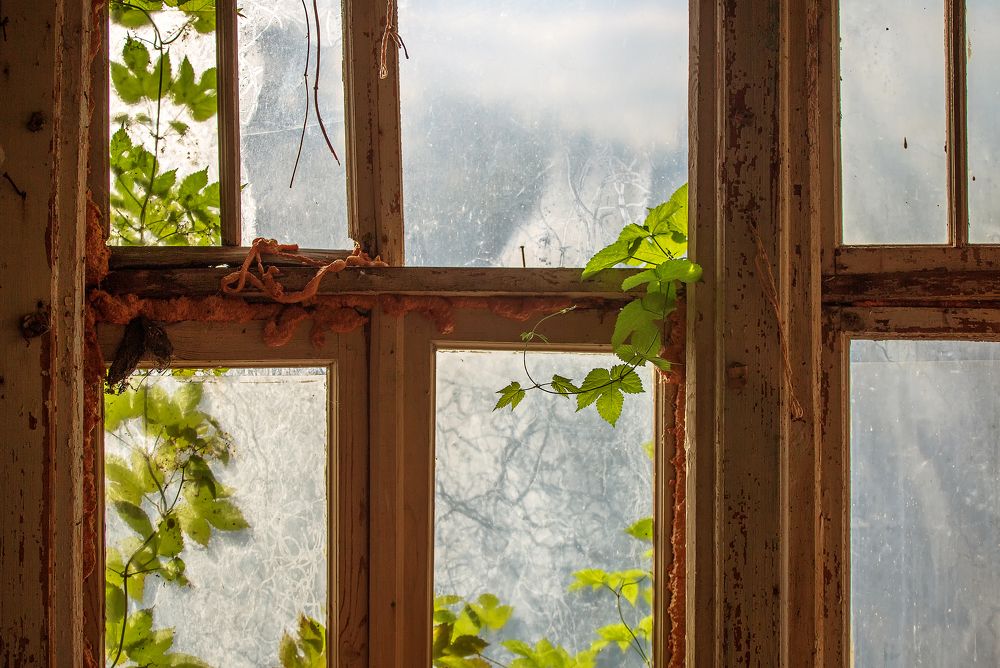 Photograph by Kristine Locika