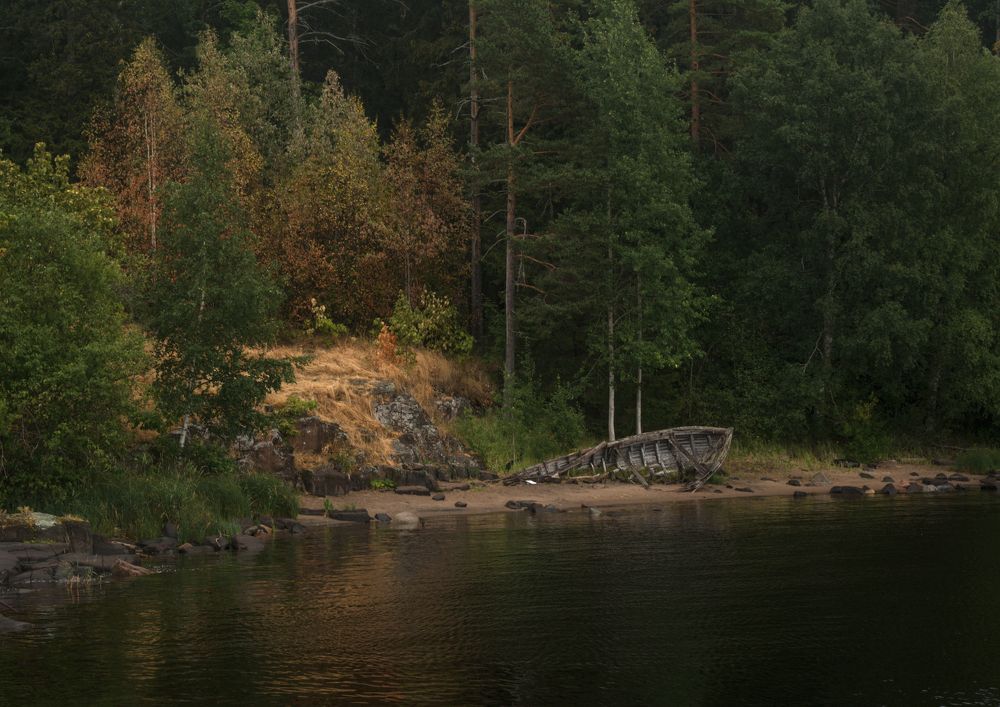 Фотография автора Антон Бразевич