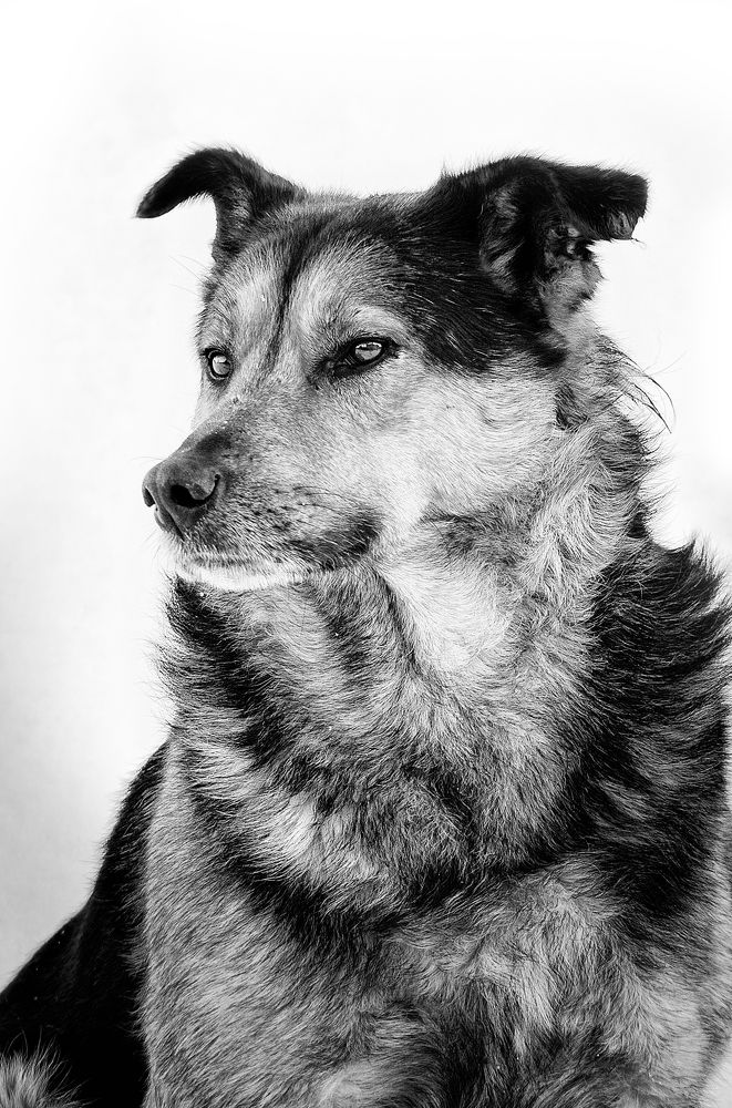 Photograph by Грязев Сергей