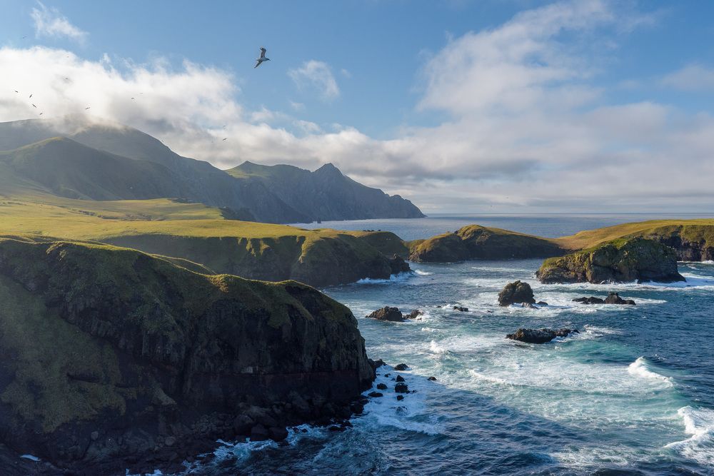 Photograph by Леонид Синев