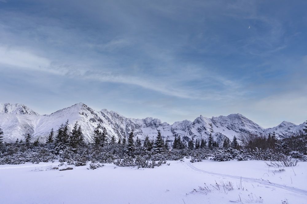 Фотография автора KAMIL KNYCHALSKI