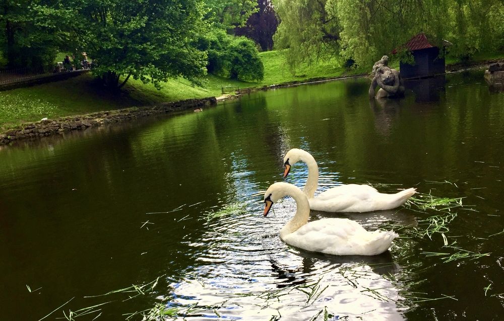 Photograph by Alena Kochergina