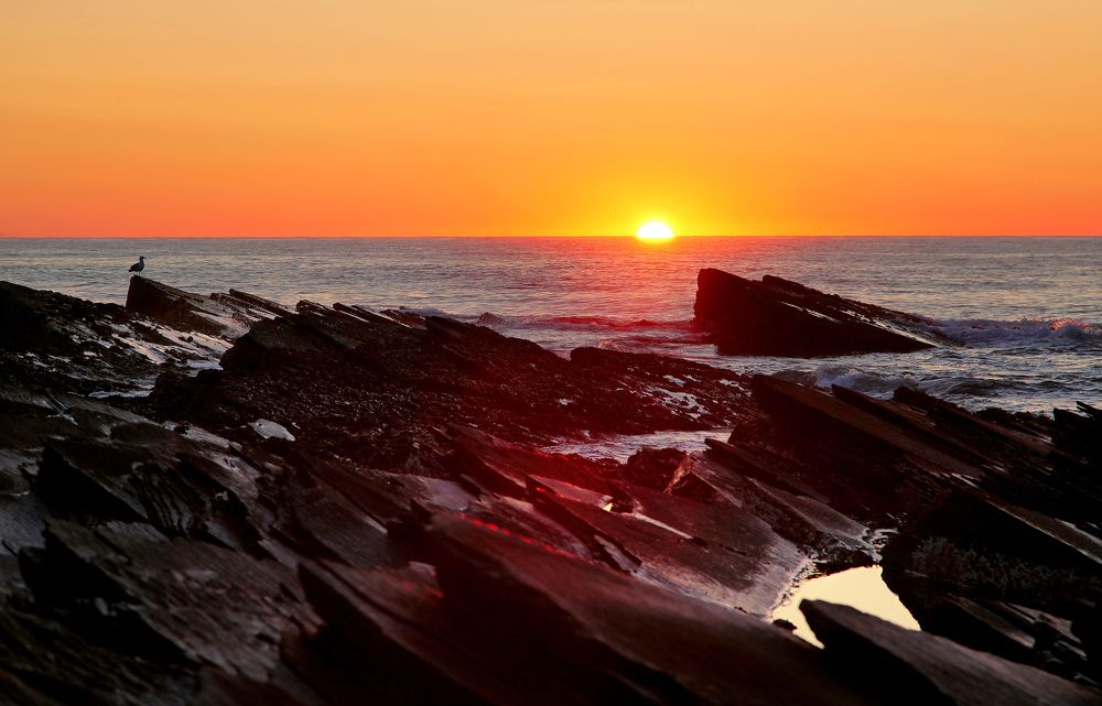 Баренцево море, закат.