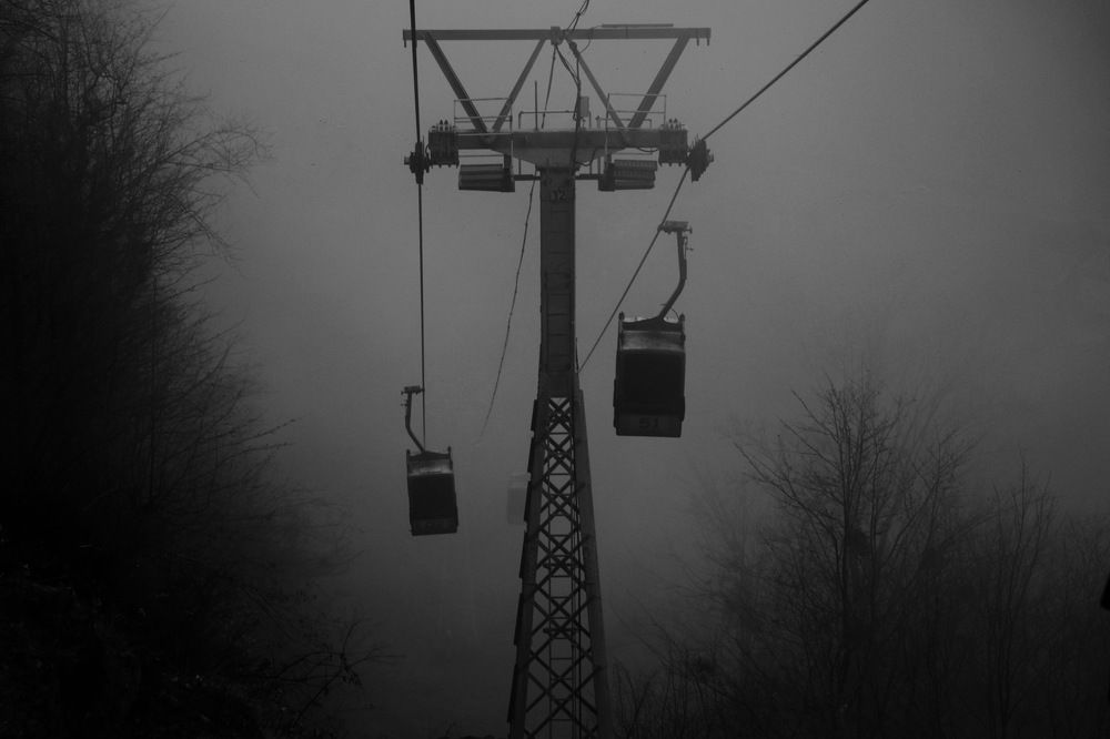 Photograph by samaneh jamali