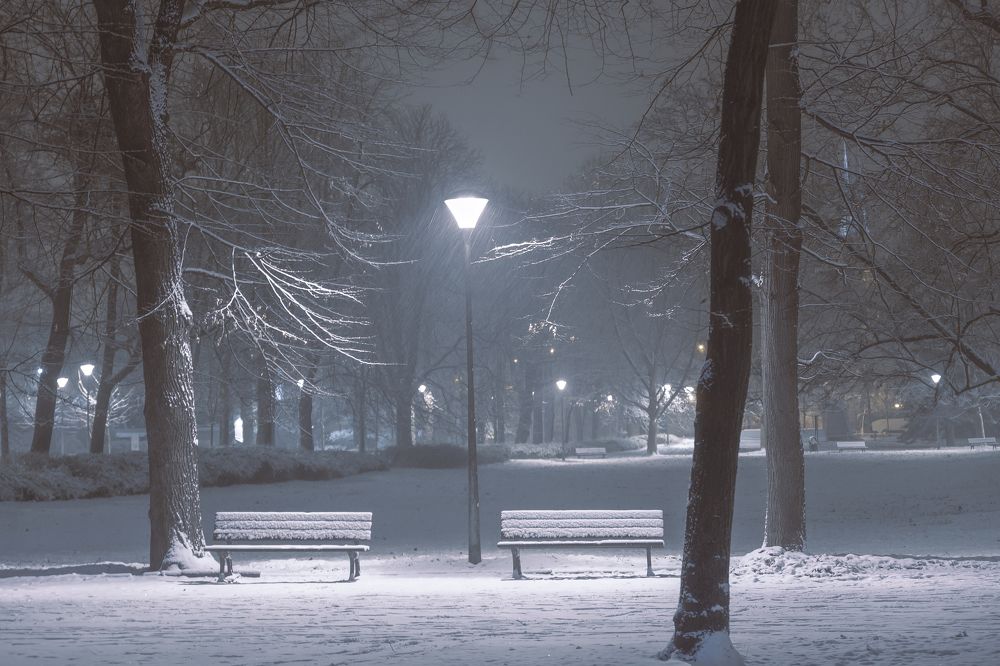 Фотография автора Kamil Knychalski