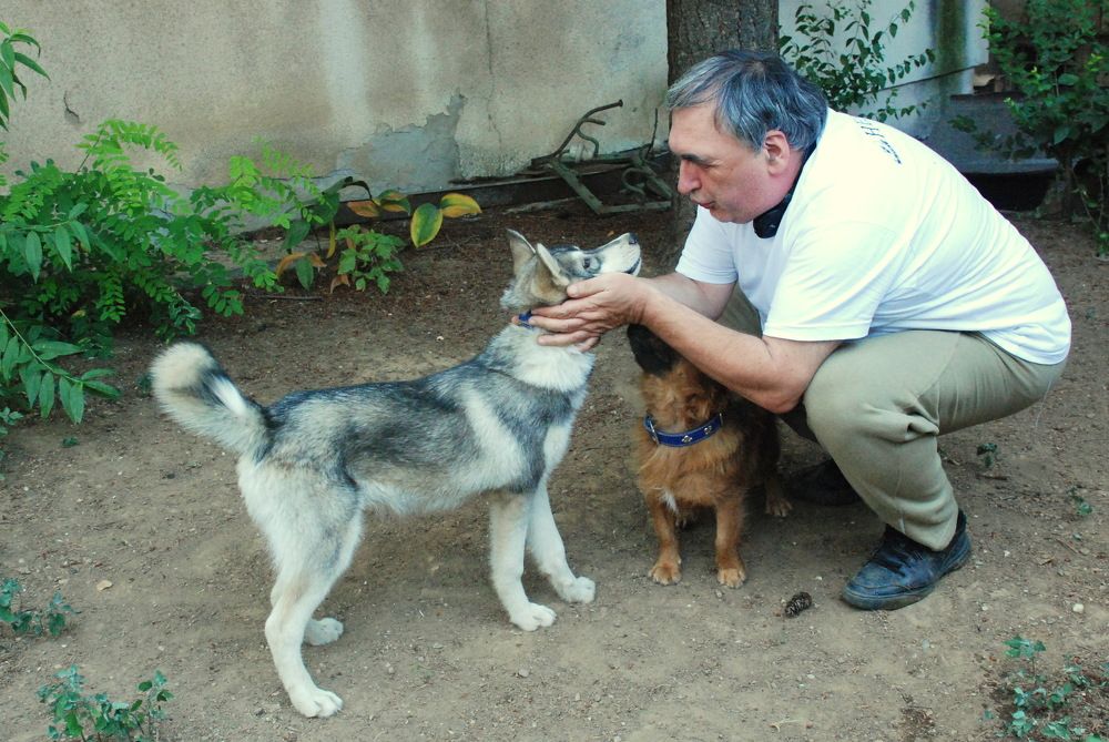 Photograph by Jasminka Nadaškić