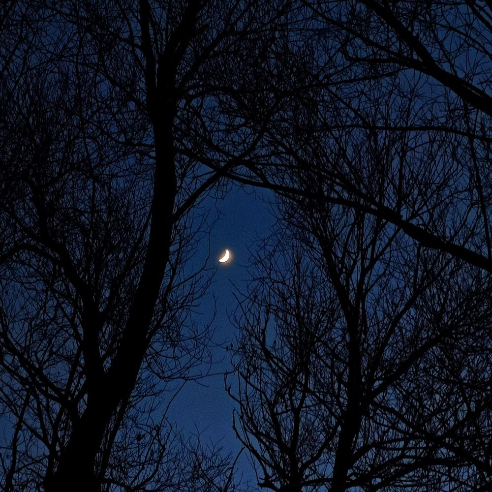 Photograph by Behnam Abbasi
