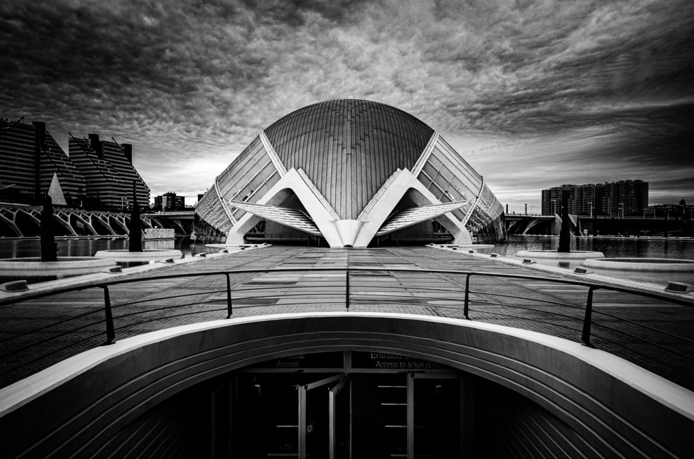 Photograph by Rafal Kucewicz