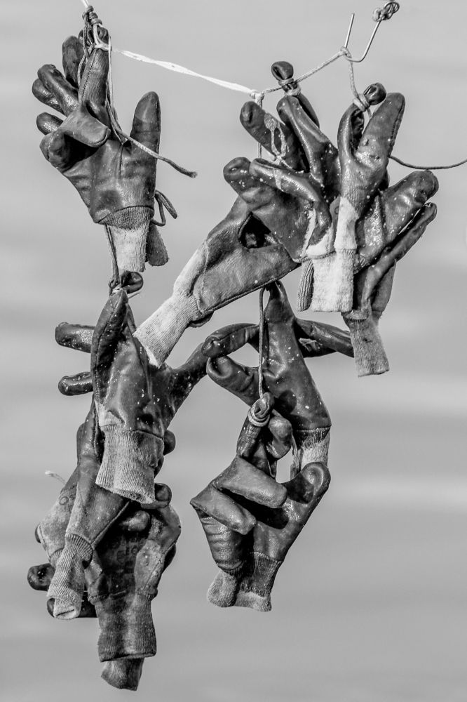 Photograph by Luis Sergio Goncalves