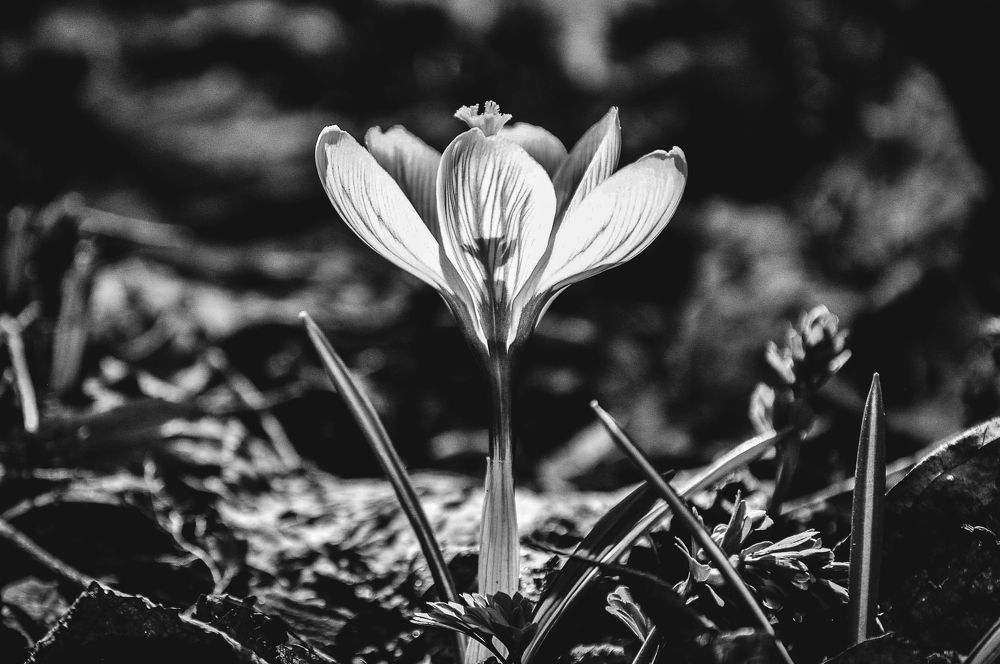 Фотография автора Мария Уланова