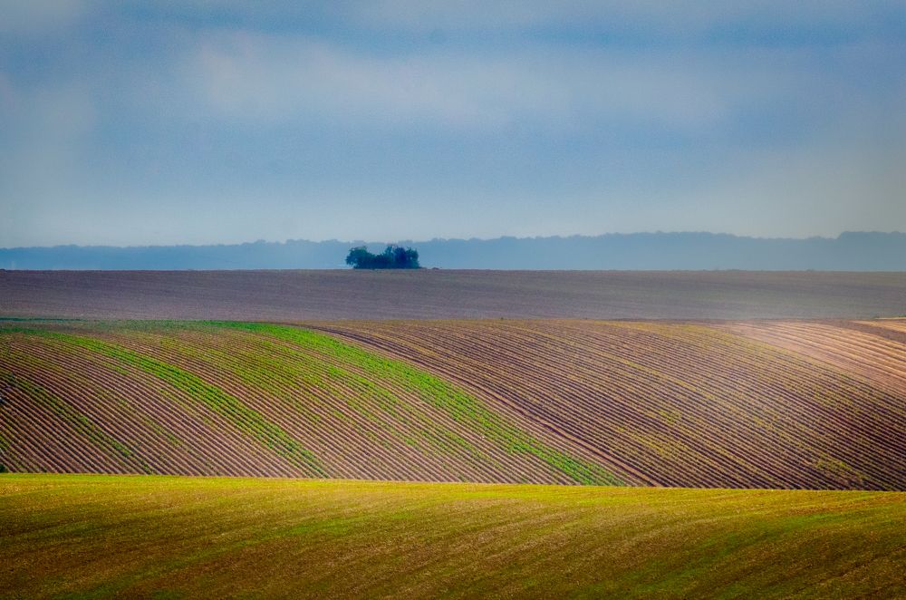 Photograph by Rafal Kucewicz