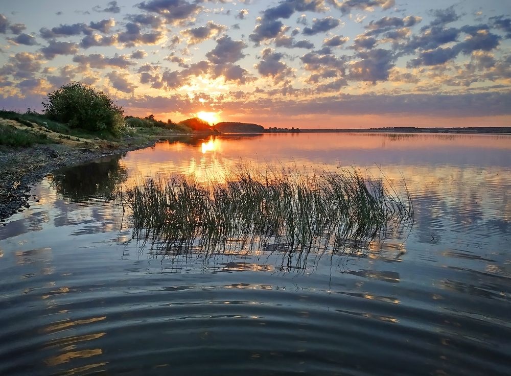 Фотография автора Кухта Мария