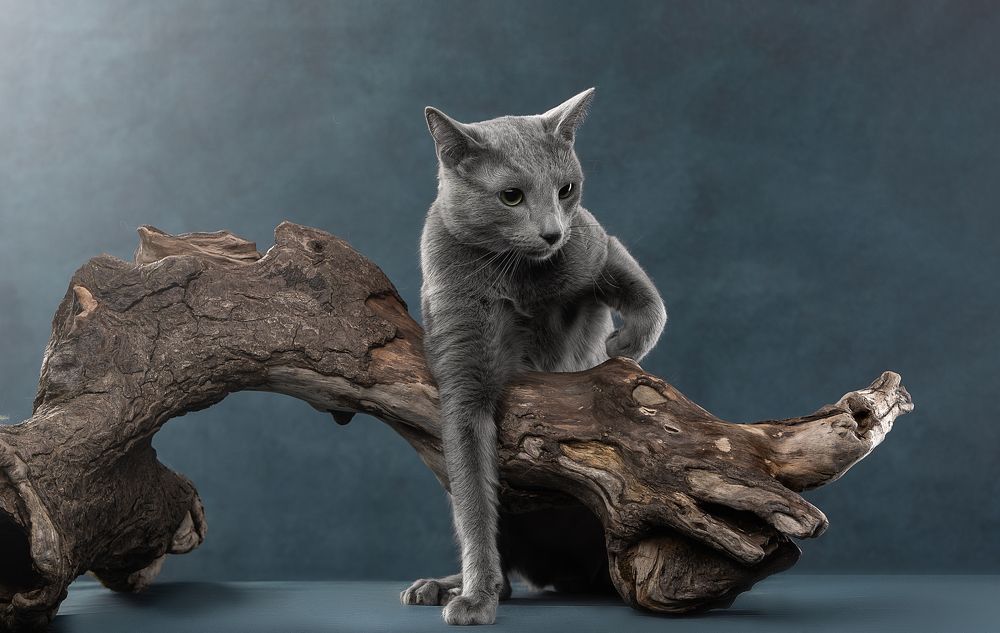 Photograph by Антон Базылевич