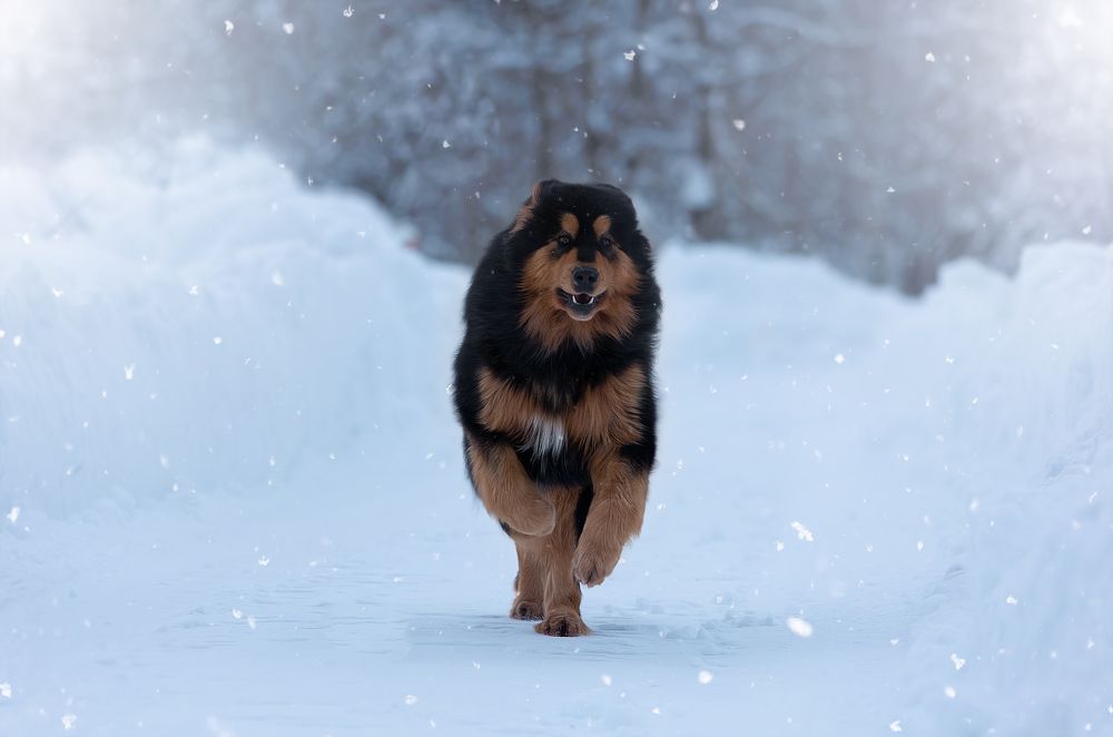 Photograph by Антон Базылевич