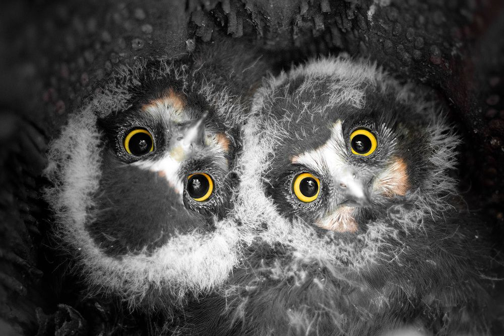 Photograph by Grant Nicholson