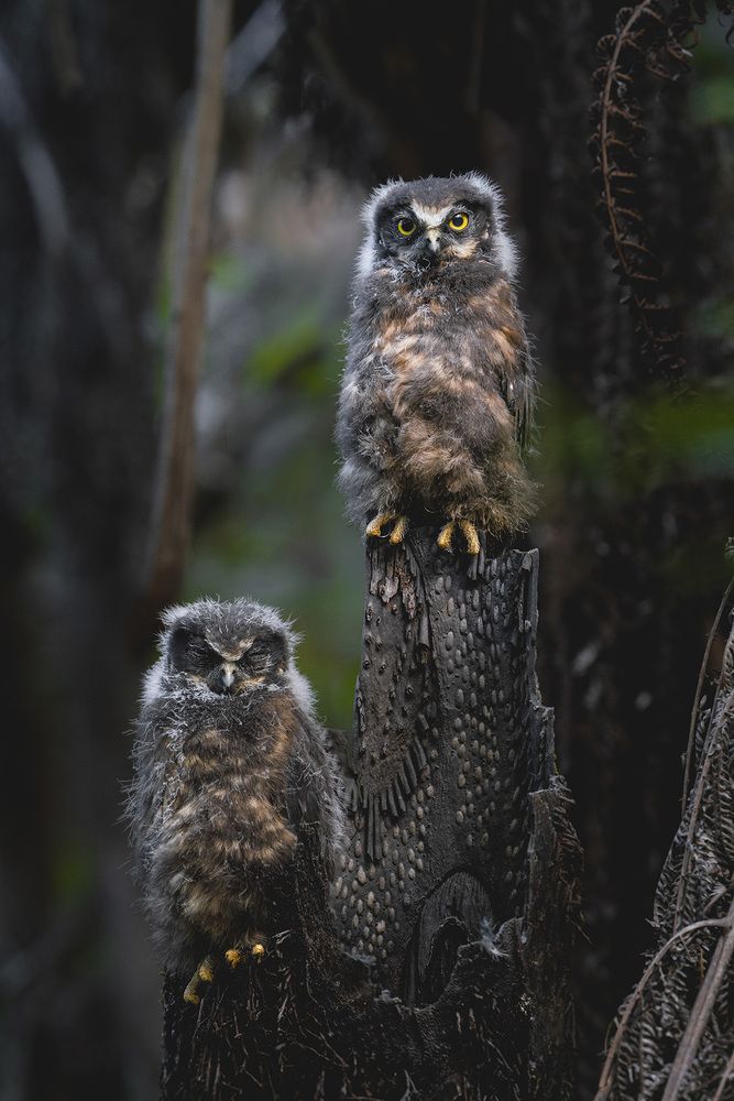 Photograph by Grant Nicholson