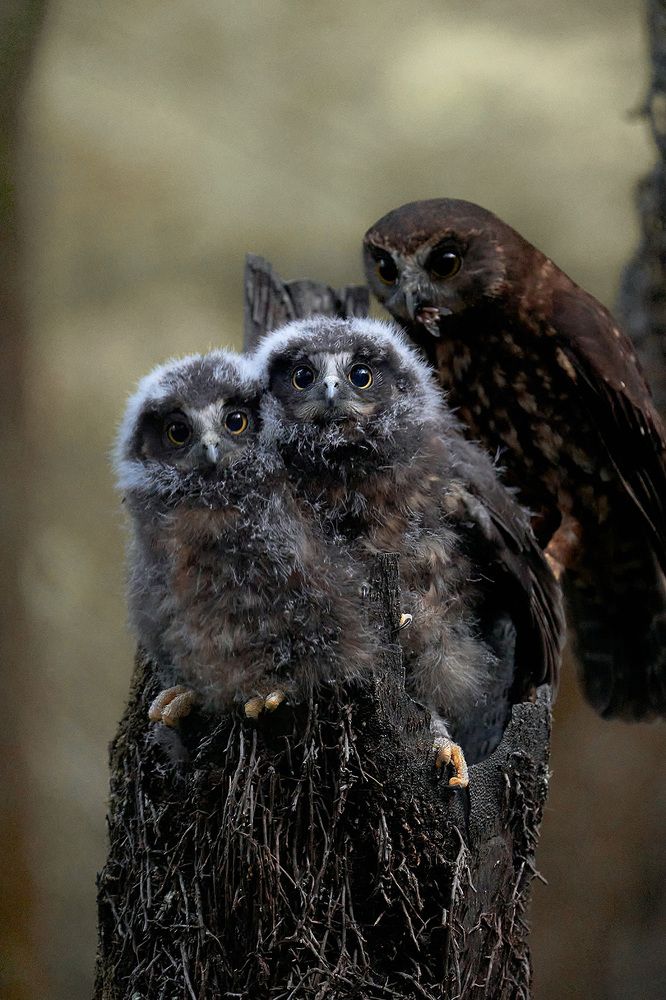 Photograph by Grant Nicholson