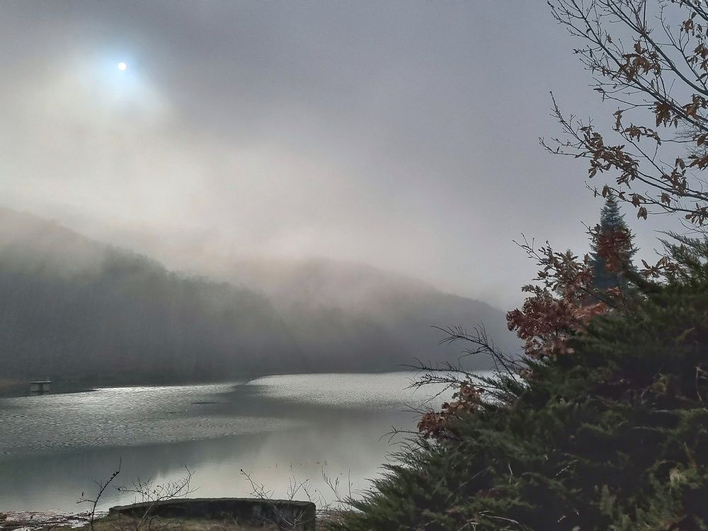 Photograph by Светлана