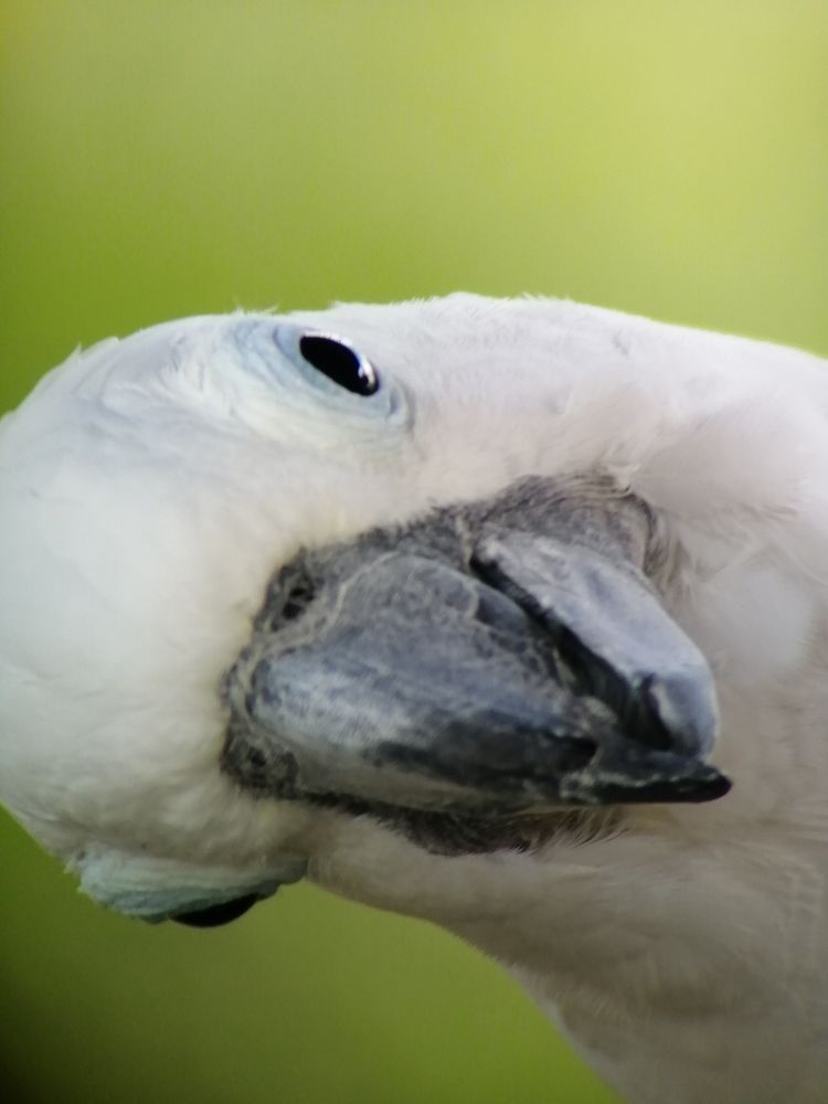 Photograph by Shivar