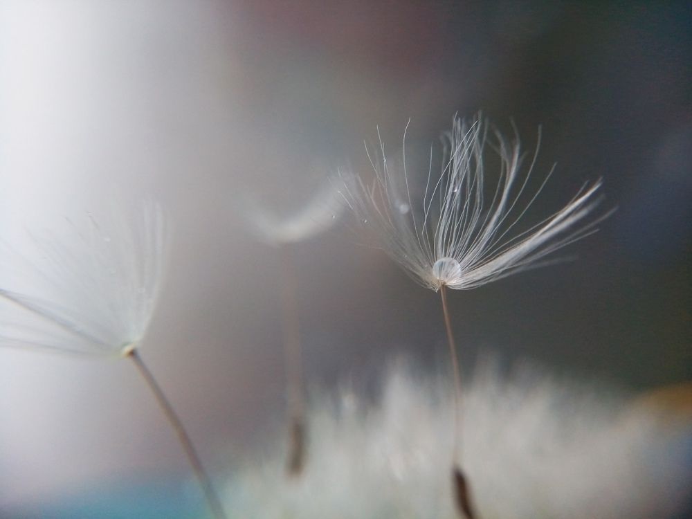 Photograph by Наталья Шумилова